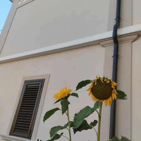 Residenza Degli Dei 3* تروبيا