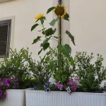 Residenza Degli Dei 3*