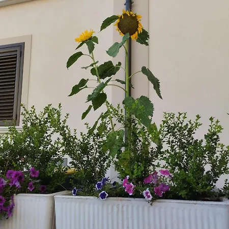 Residenza Degli Dei 3*