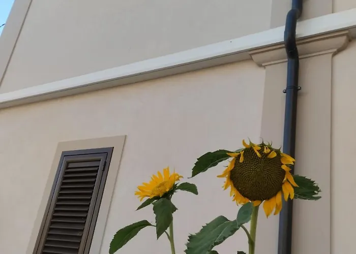 Residenza Degli Dei 3* 特罗佩阿