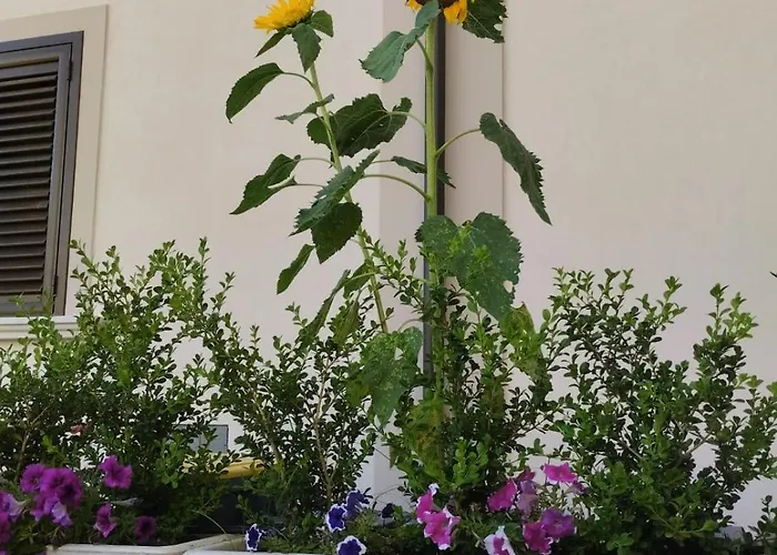 Residenza Degli Dei 3*